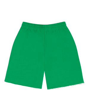 DenimUShortsGreenBack